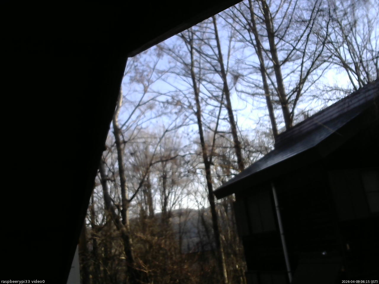 長野県菅平高原 ゆたか山荘 北側 2026/04/09 06:15