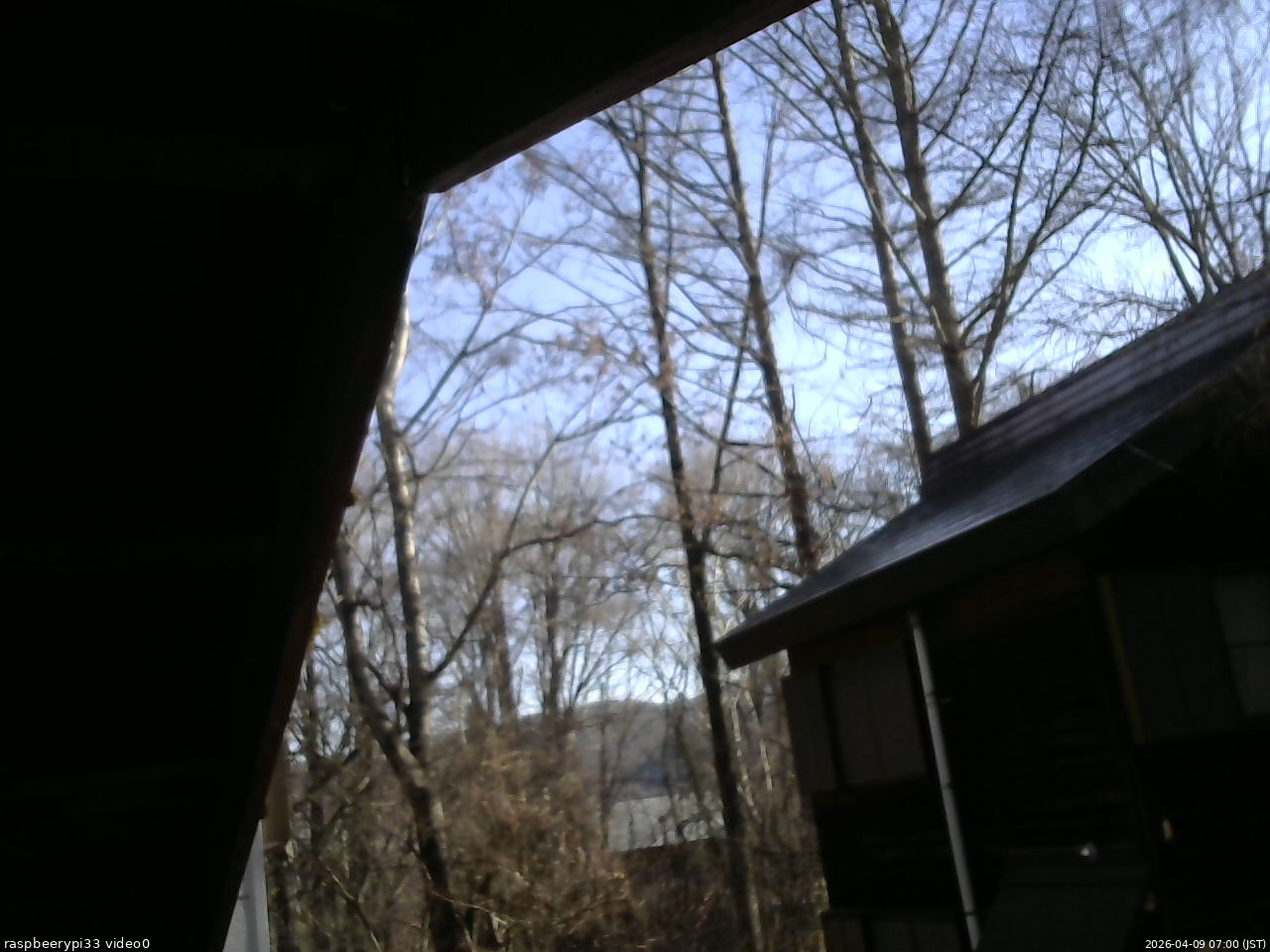 長野県菅平高原 ゆたか山荘 北側 2026/04/09 07:00