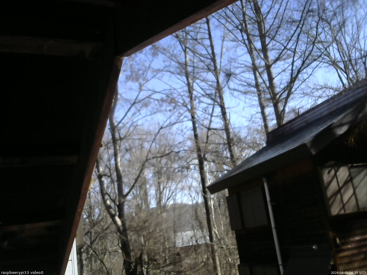 長野県菅平高原 ゆたか山荘 北側 2026/04/09 08:30