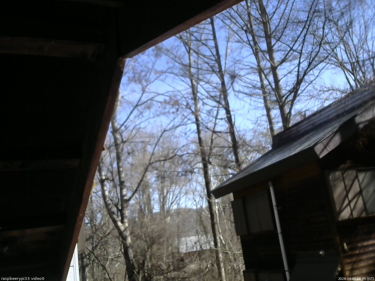 長野県菅平高原 ゆたか山荘 北側 2026/04/09 08:45