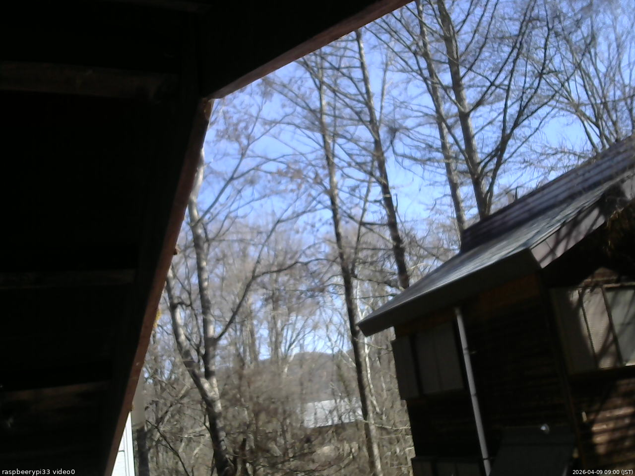 長野県菅平高原 ゆたか山荘 北側 2026/04/09 09:00