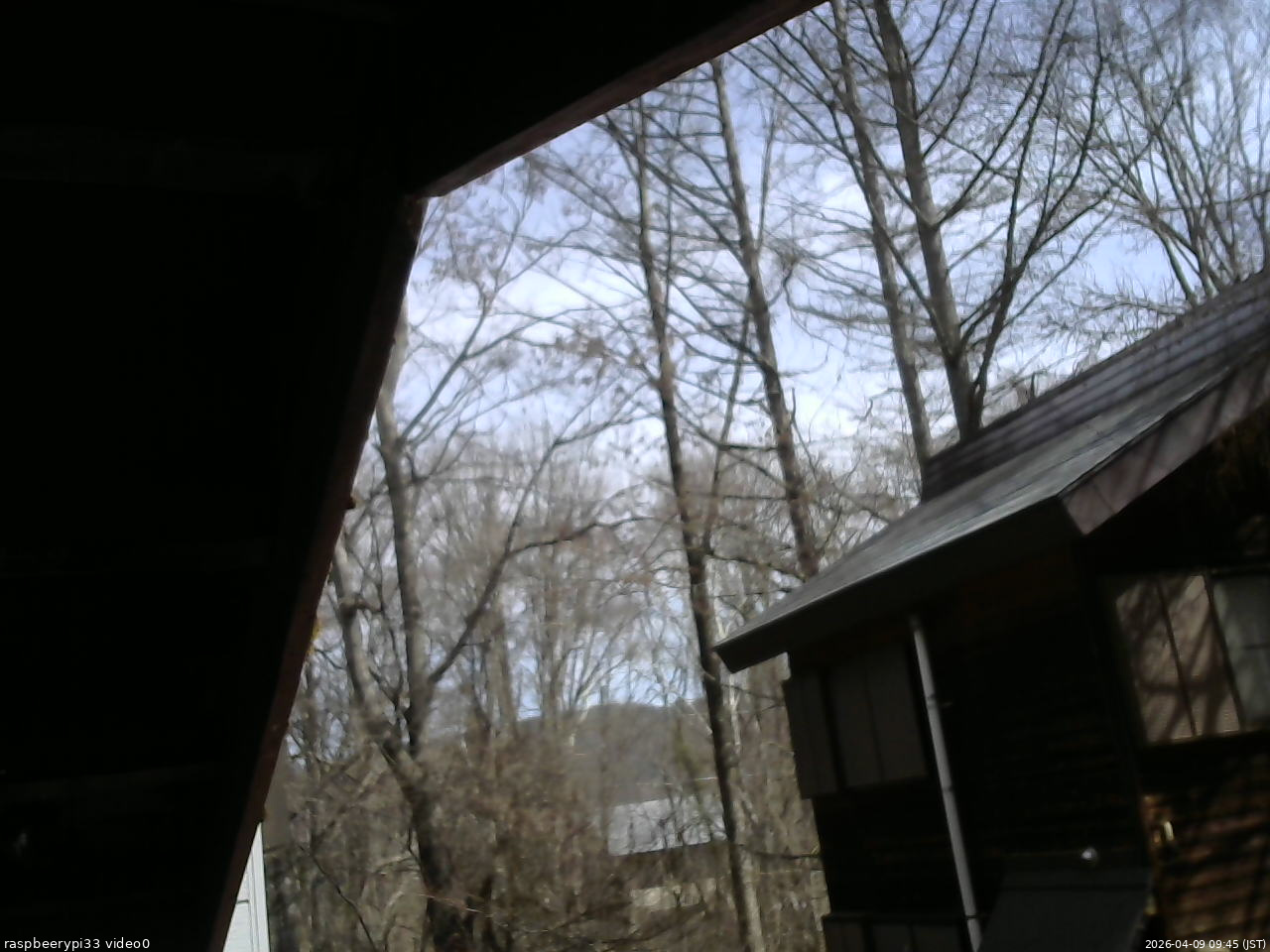 長野県菅平高原 ゆたか山荘 北側 2026/04/09 09:45