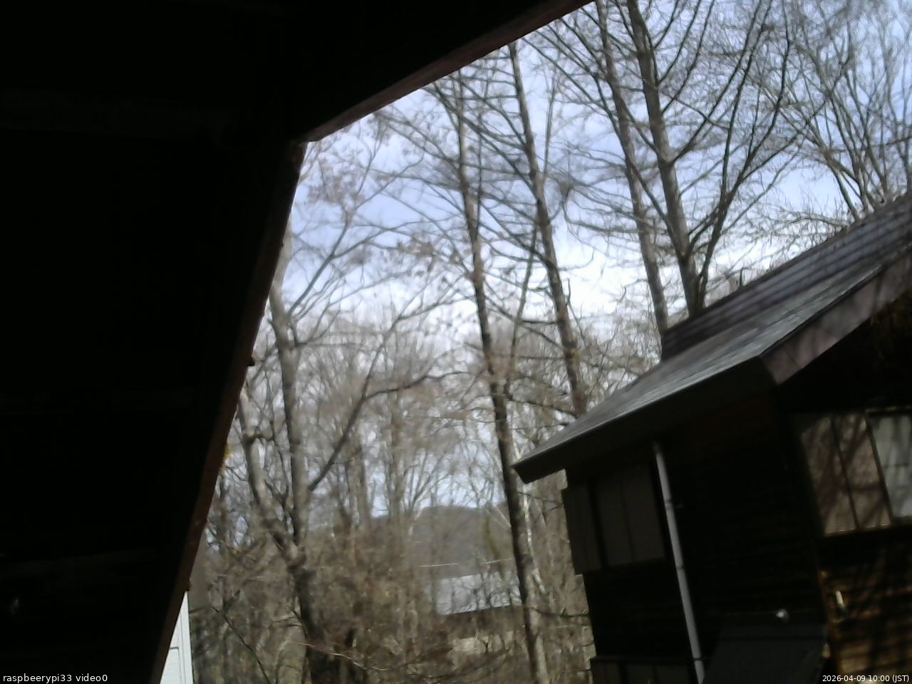 長野県菅平高原 ゆたか山荘 北側 2026/04/09 10:00