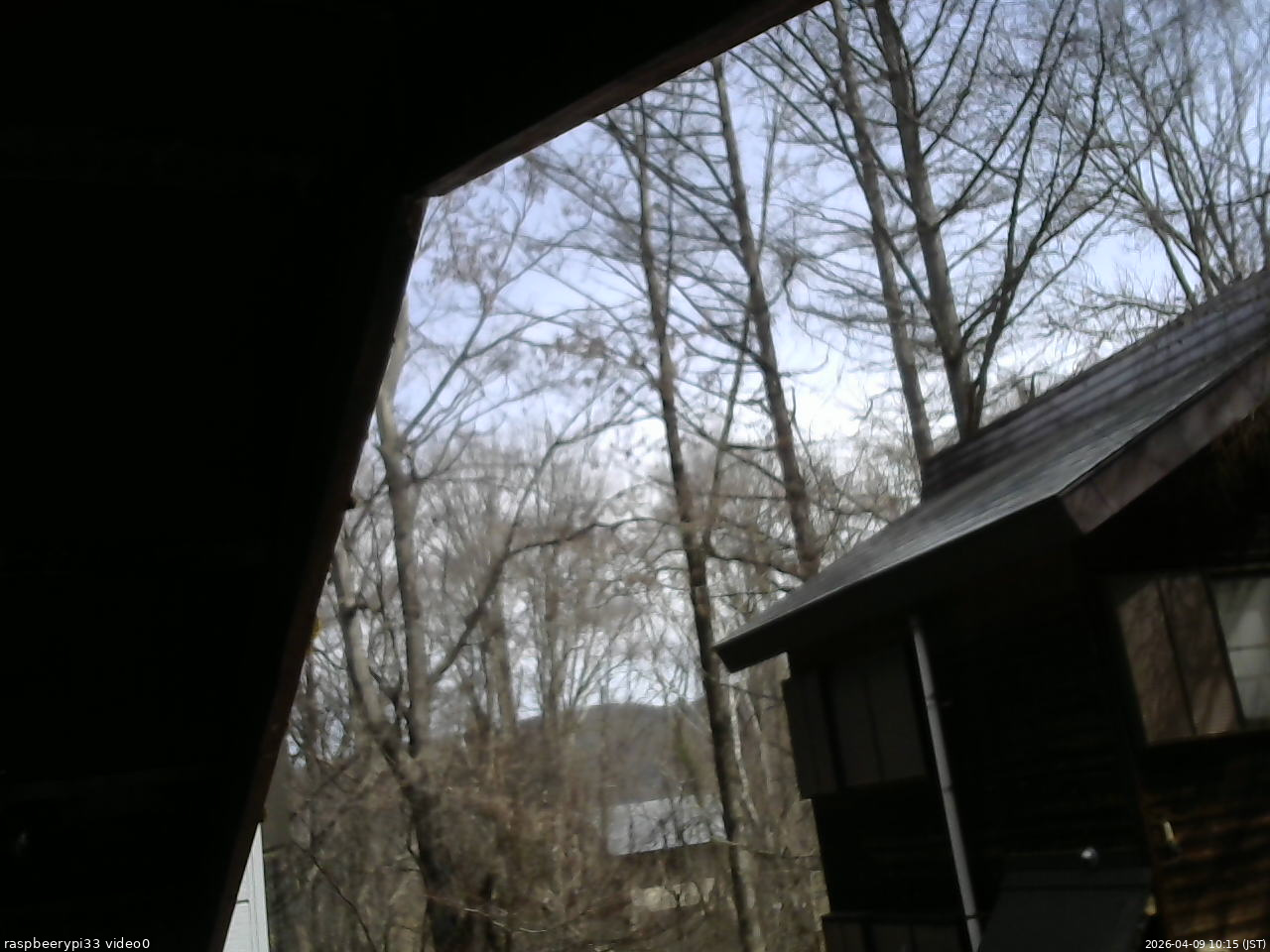 長野県菅平高原 ゆたか山荘 北側 2026/04/09 10:15