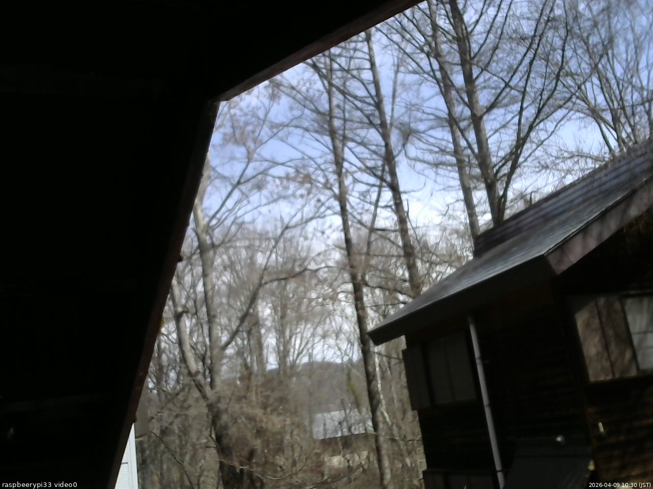 長野県菅平高原 ゆたか山荘 北側 2026/04/09 10:30