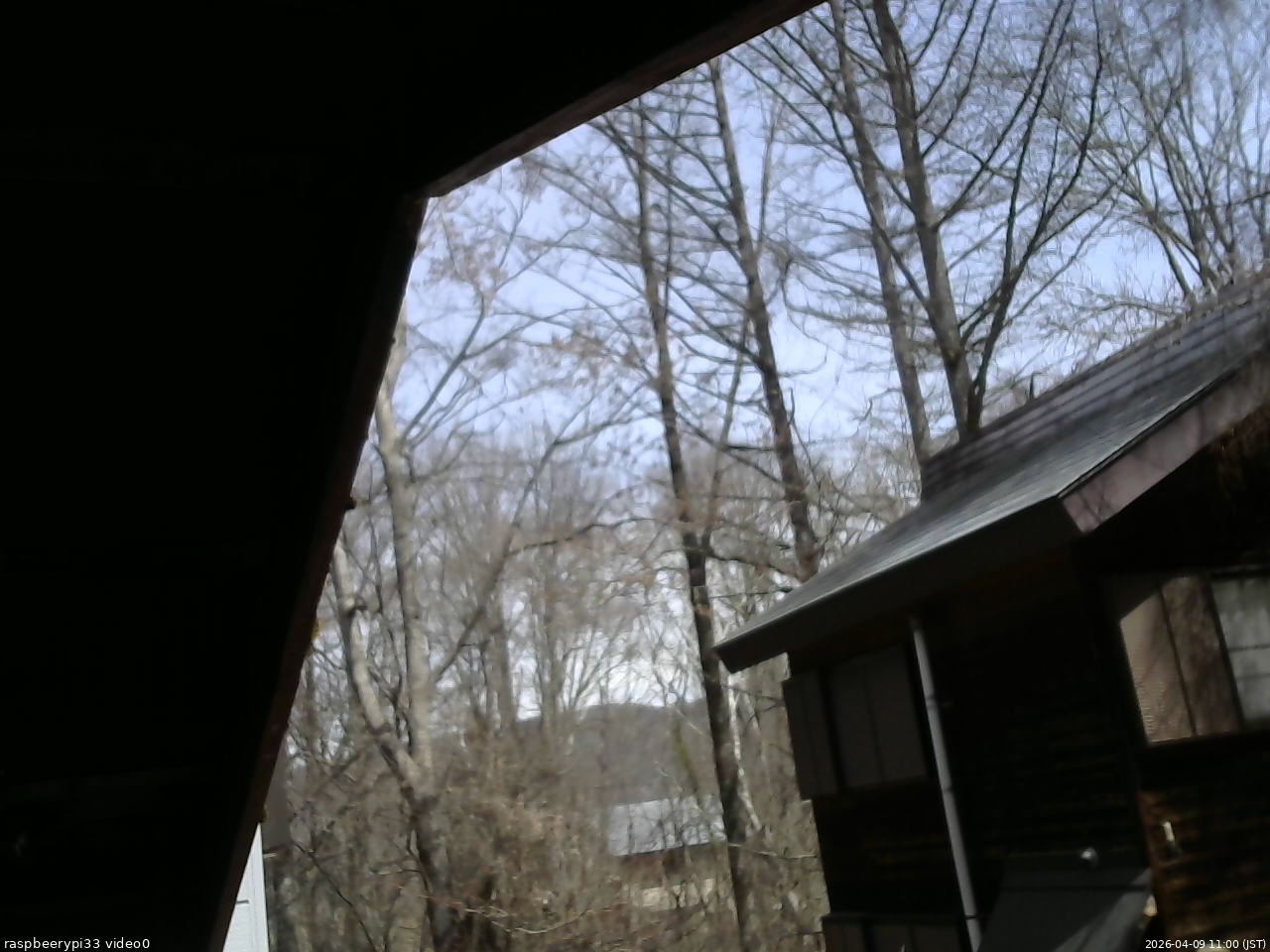 長野県菅平高原 ゆたか山荘 北側 2026/04/09 11:00