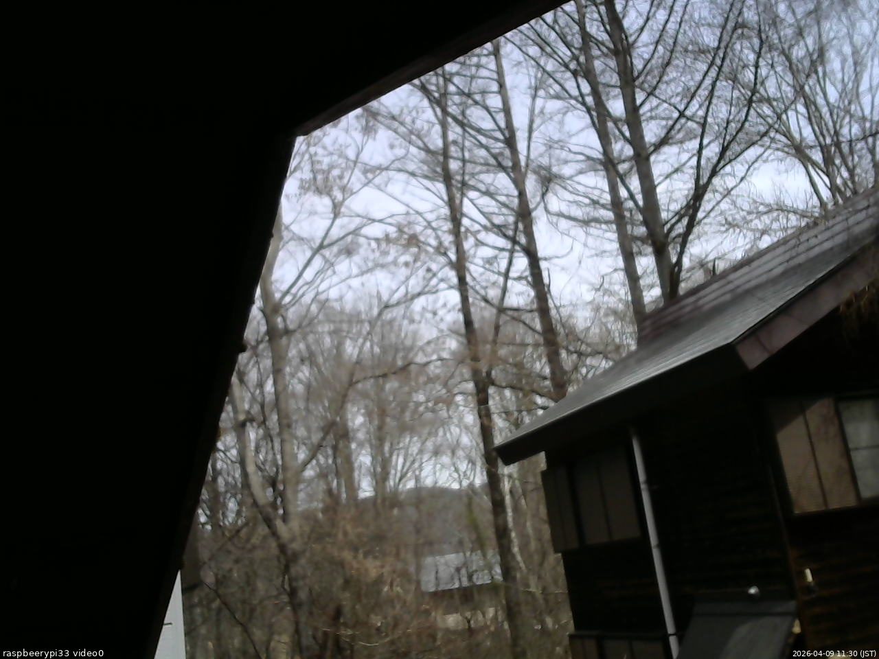 長野県菅平高原 ゆたか山荘 北側 2026/04/09 11:30