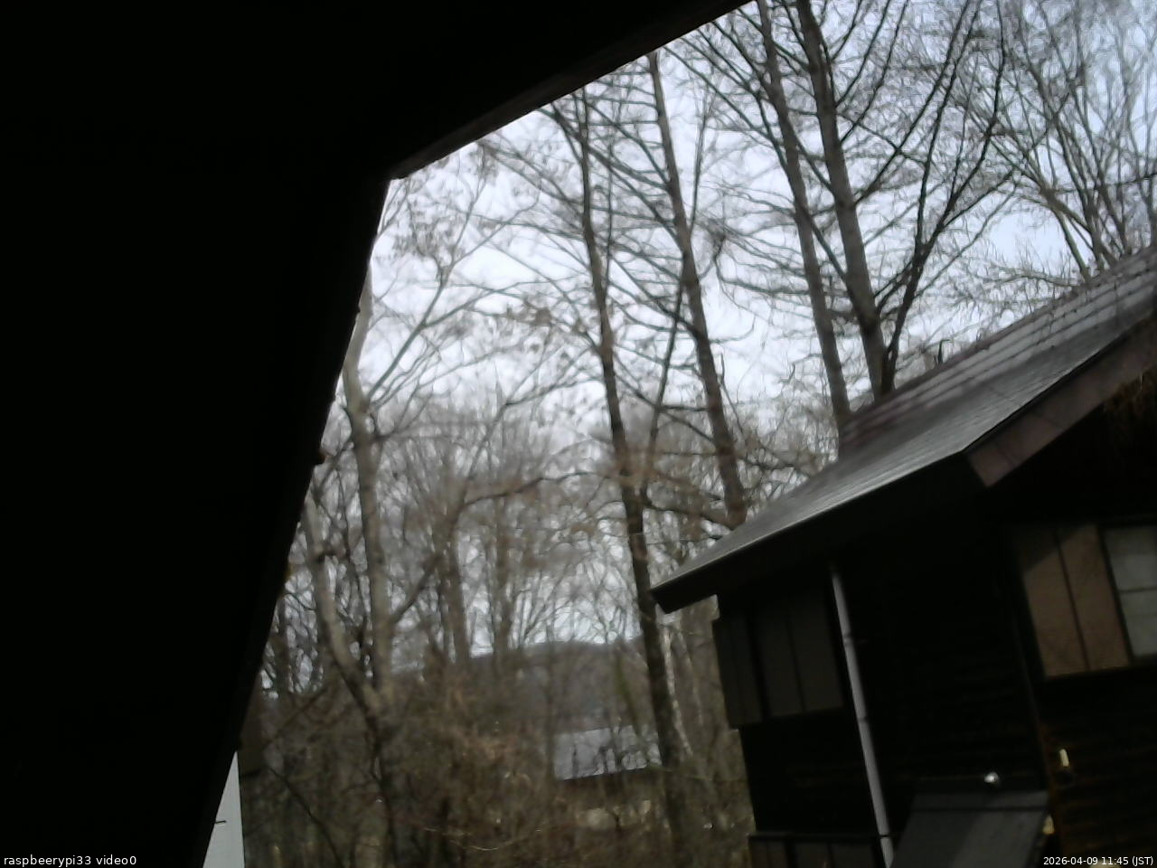 長野県菅平高原 ゆたか山荘 北側 2026/04/09 11:45