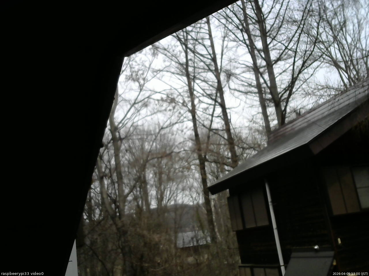 長野県菅平高原 ゆたか山荘 北側 2026/04/09 13:00