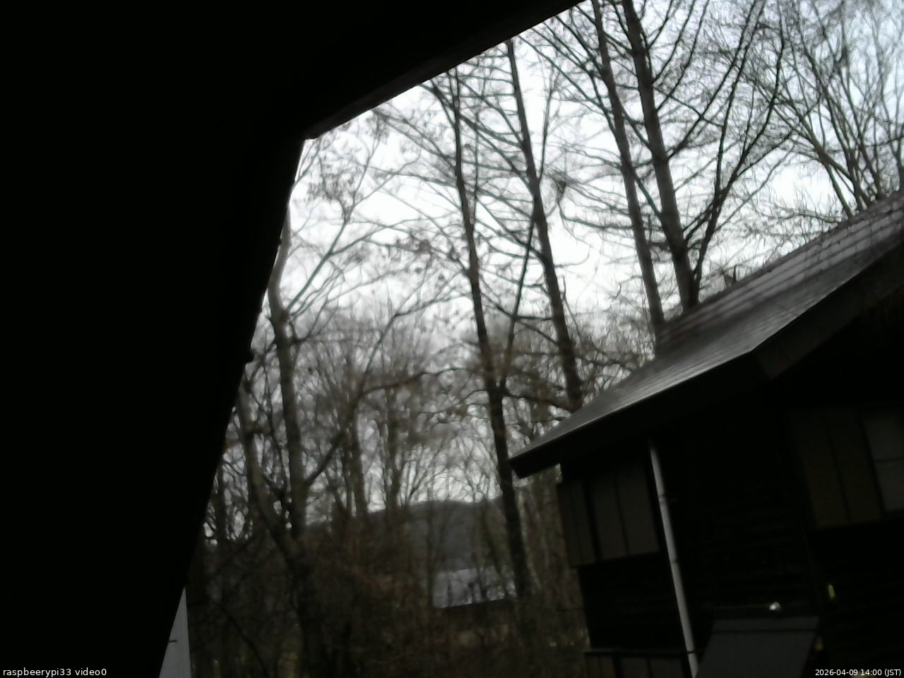 長野県菅平高原 ゆたか山荘 北側 2026/04/09 14:00