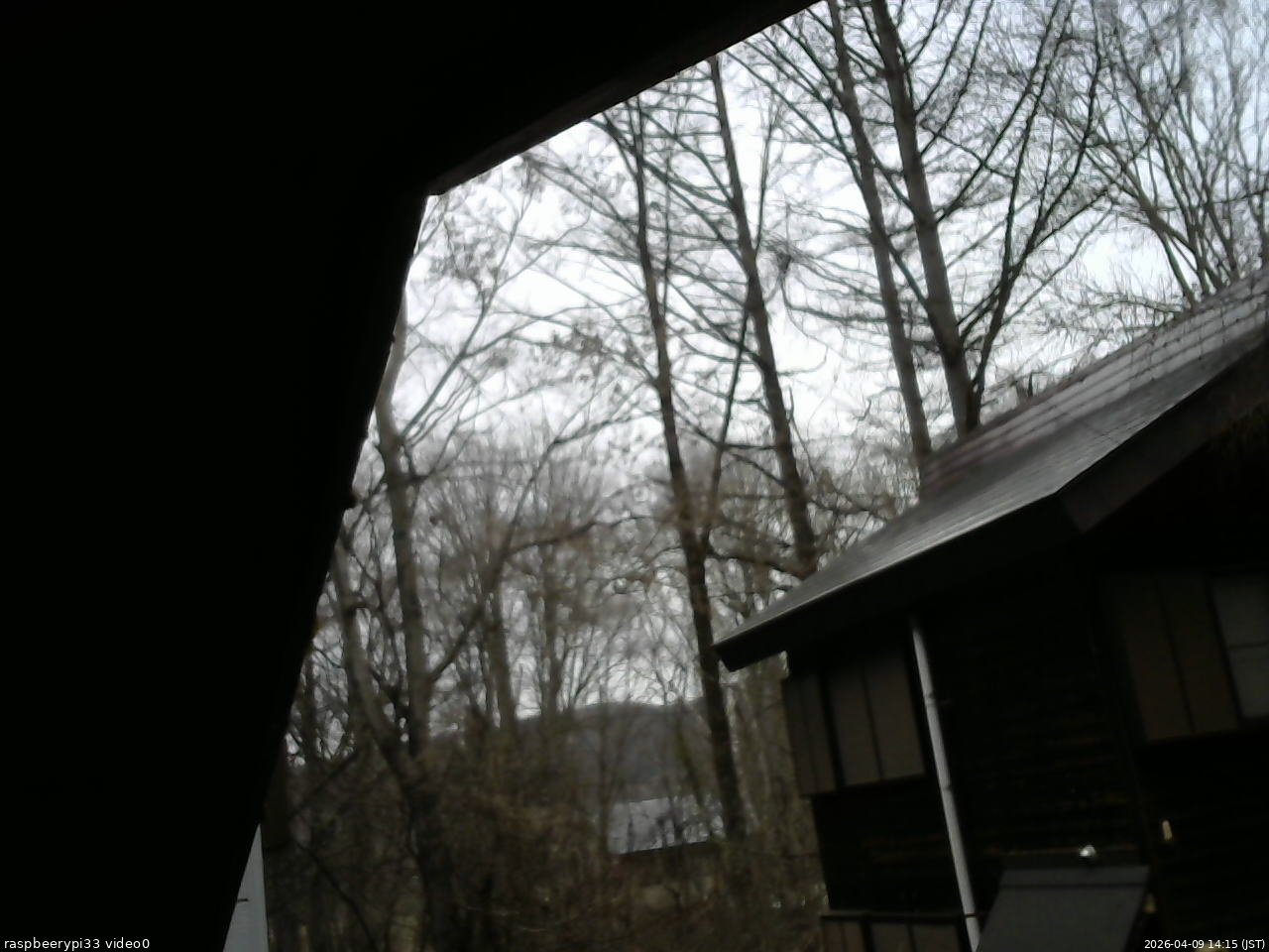 長野県菅平高原 ゆたか山荘 北側 2026/04/09 14:15