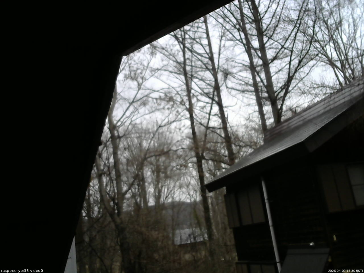 長野県菅平高原 ゆたか山荘 北側 2026/04/09 15:30