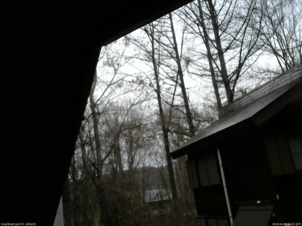 長野県菅平高原 ゆたか山荘 北側 2026/04/09 16:15