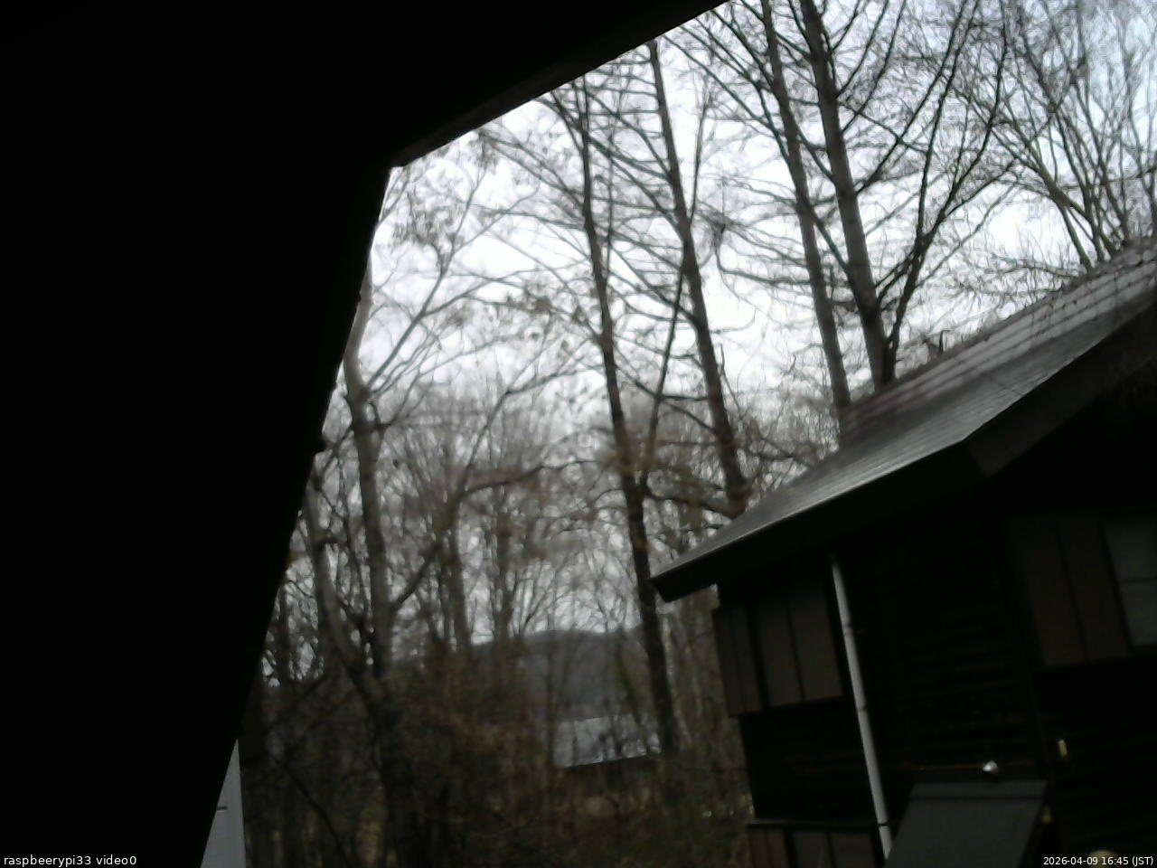 長野県菅平高原 ゆたか山荘 北側 2026/04/09 16:45