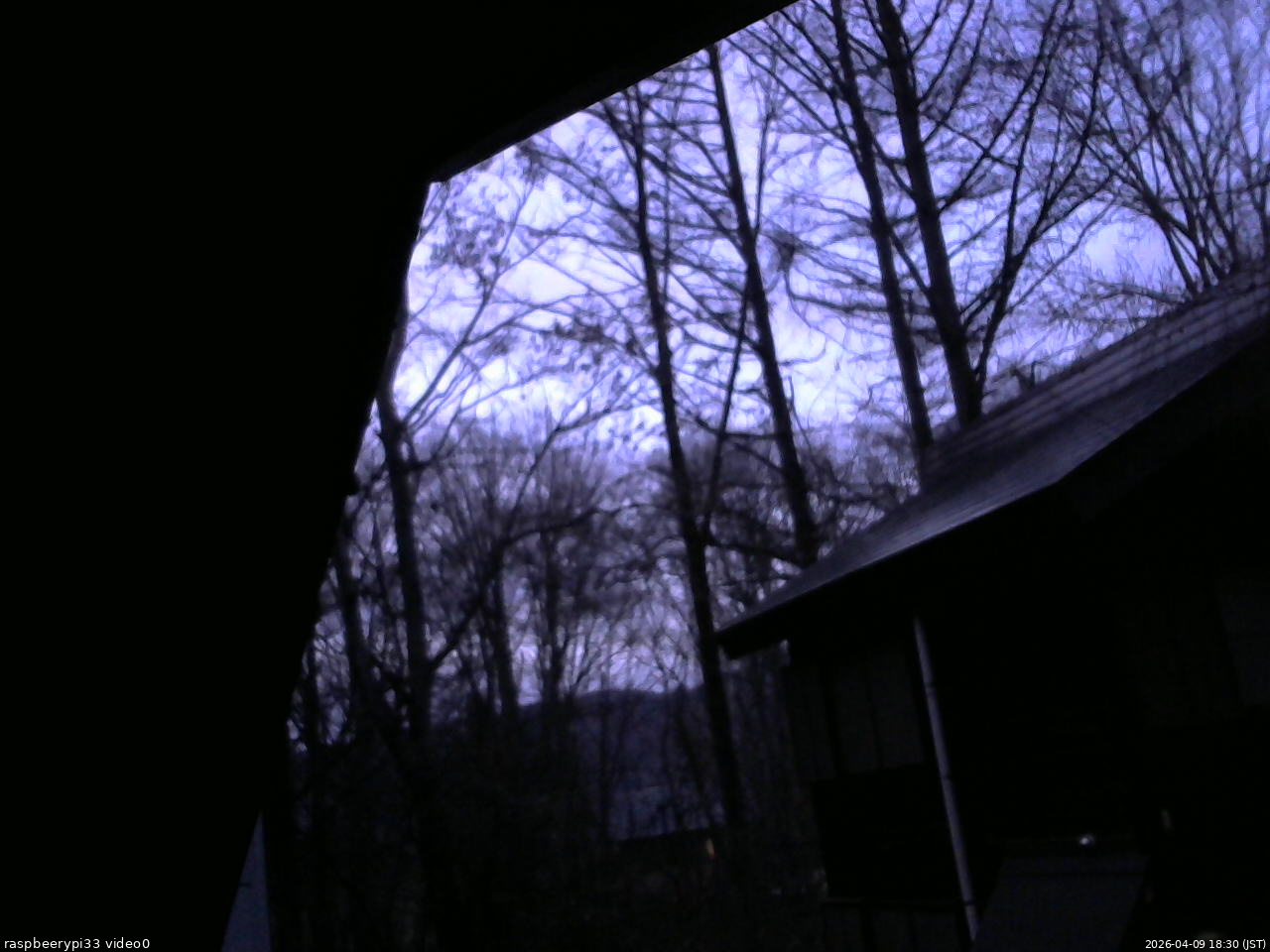 長野県菅平高原 ゆたか山荘 北側 2026/04/09 18:30