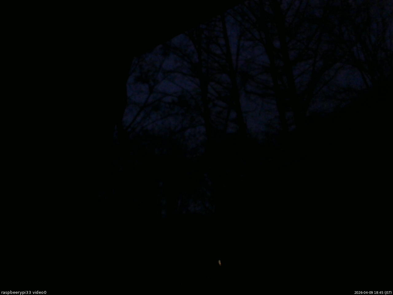 長野県菅平高原 ゆたか山荘 北側 2026/04/09 18:45