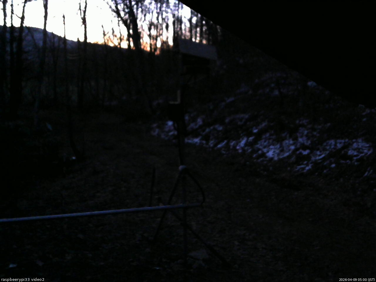 長野県菅平高原 ゆたか山荘 南側 2026/04/09 05:00