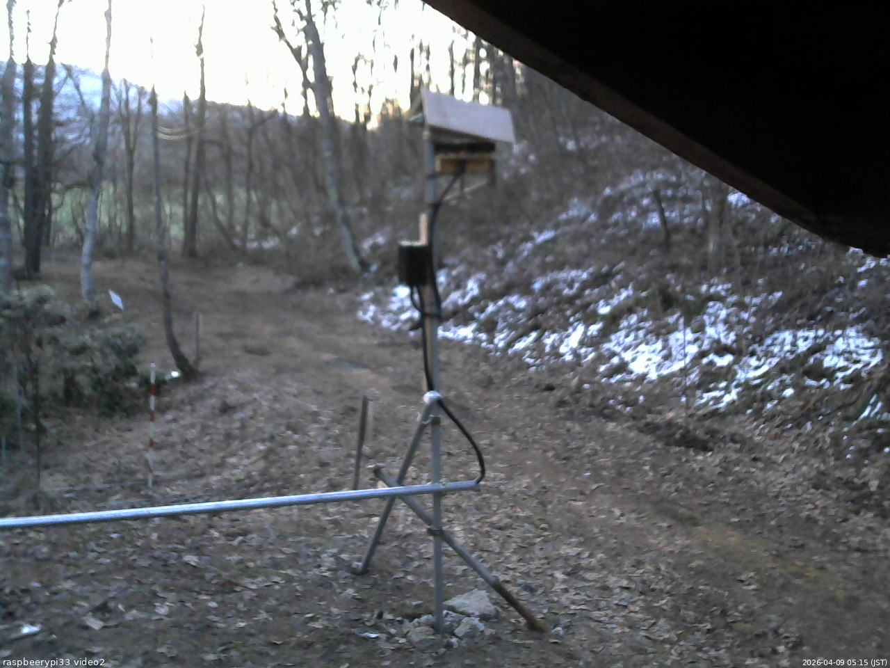 長野県菅平高原 ゆたか山荘 南側 2026/04/09 05:15