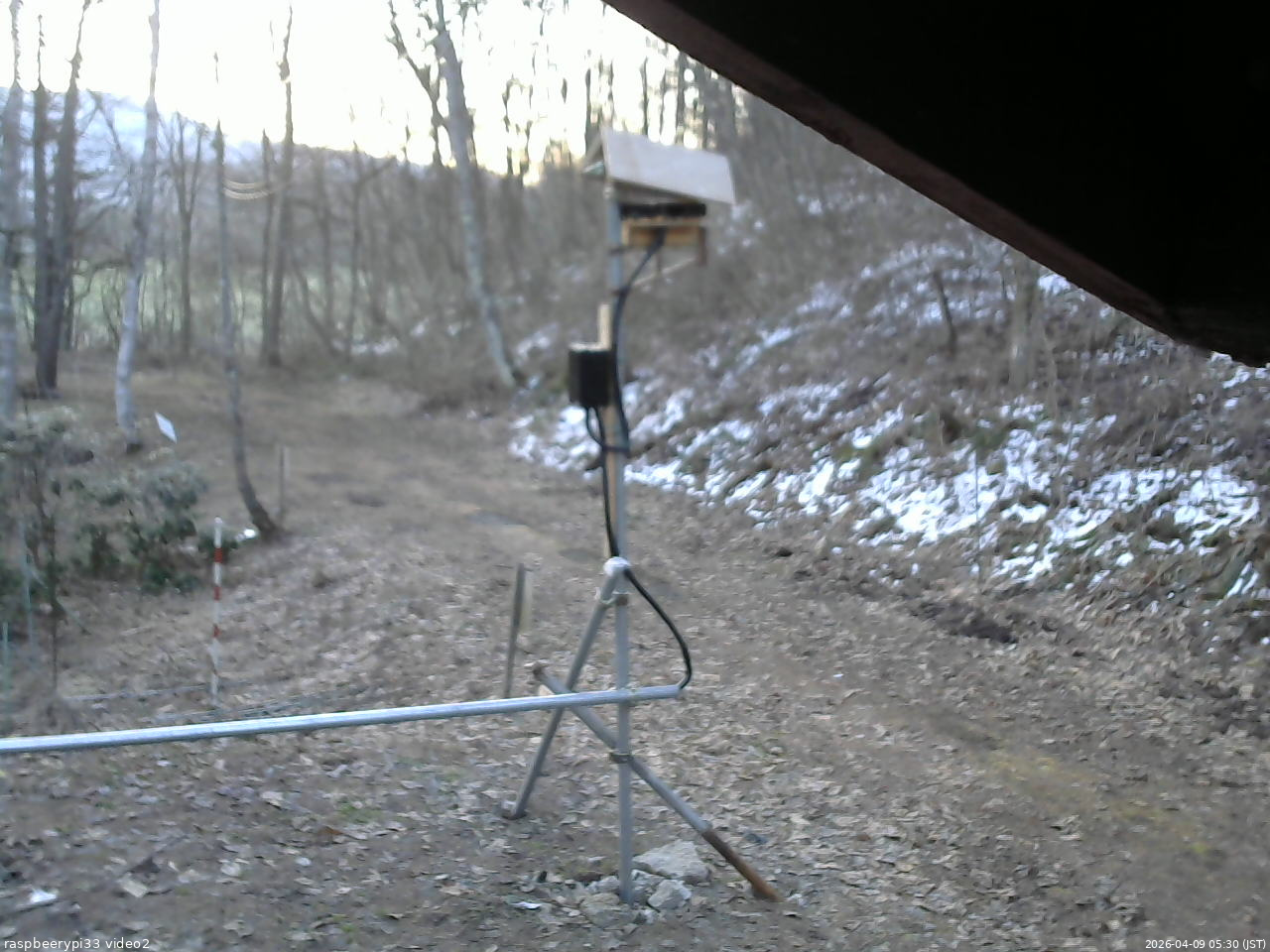 長野県菅平高原 ゆたか山荘 南側 2026/04/09 05:30