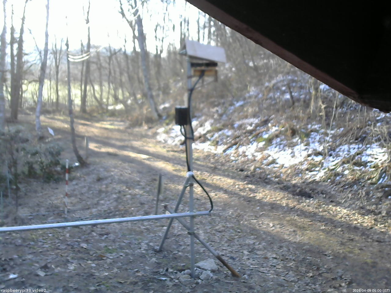 長野県菅平高原 ゆたか山荘 南側 2026/04/09 06:00
