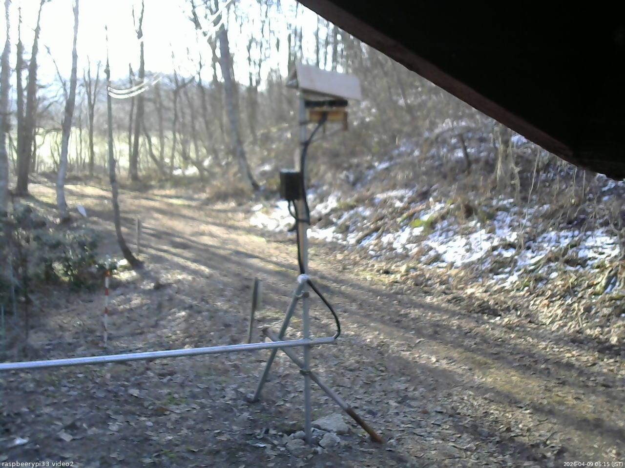 長野県菅平高原 ゆたか山荘 南側 2026/04/09 06:15