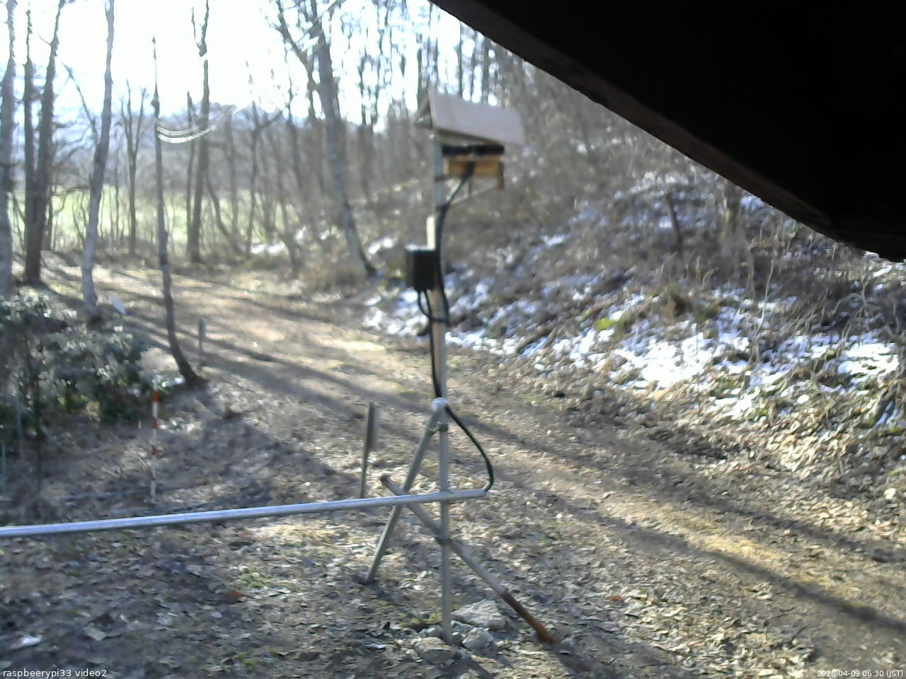 長野県菅平高原 ゆたか山荘 南側 2026/04/09 06:30