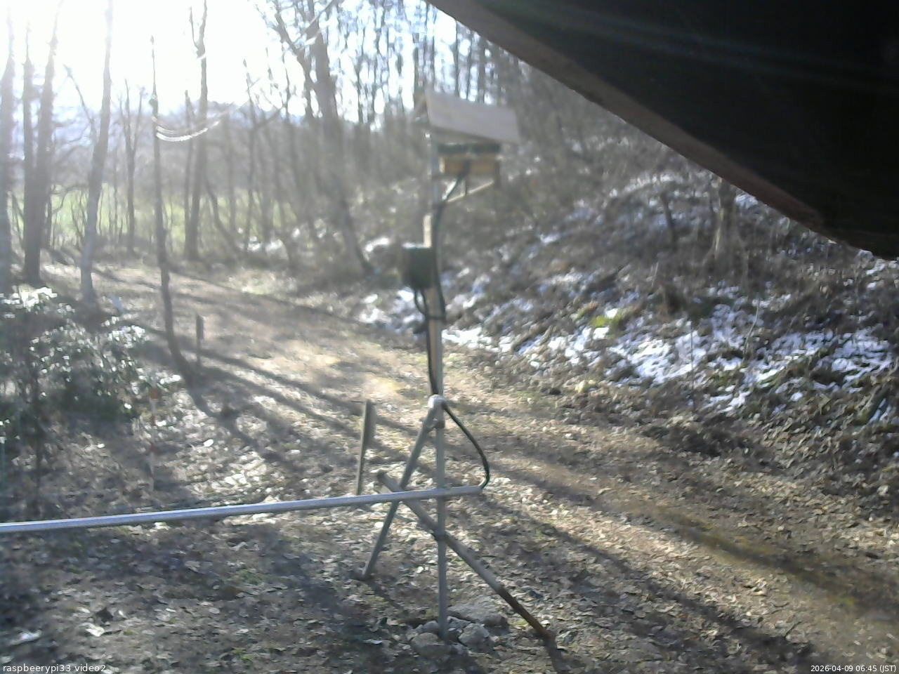 長野県菅平高原 ゆたか山荘 南側 2026/04/09 06:45
