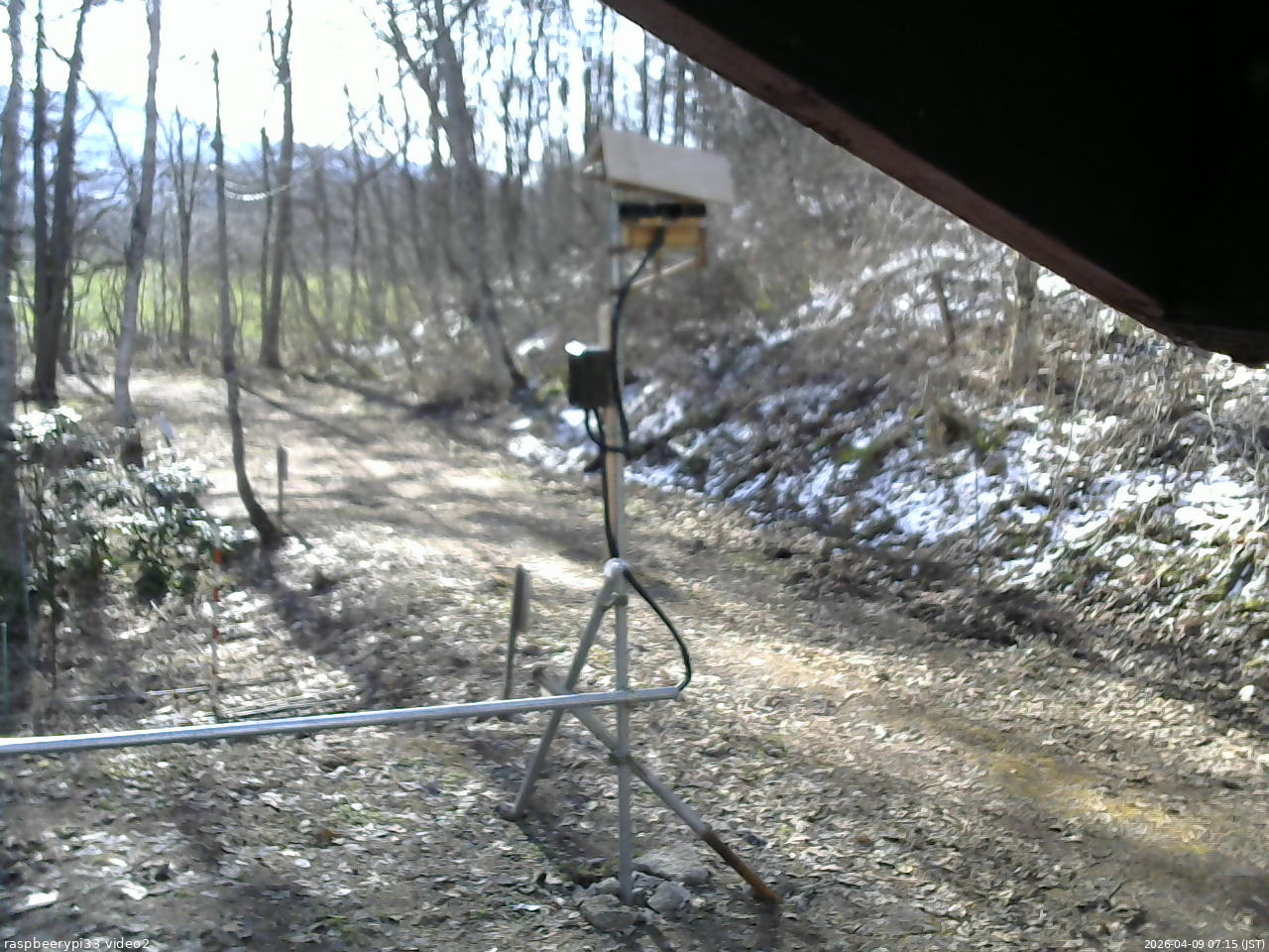 長野県菅平高原 ゆたか山荘 南側 2026/04/09 07:15