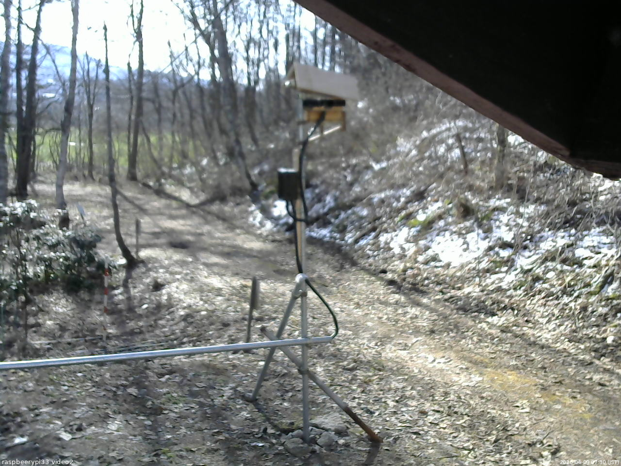 長野県菅平高原 ゆたか山荘 南側 2026/04/09 07:30