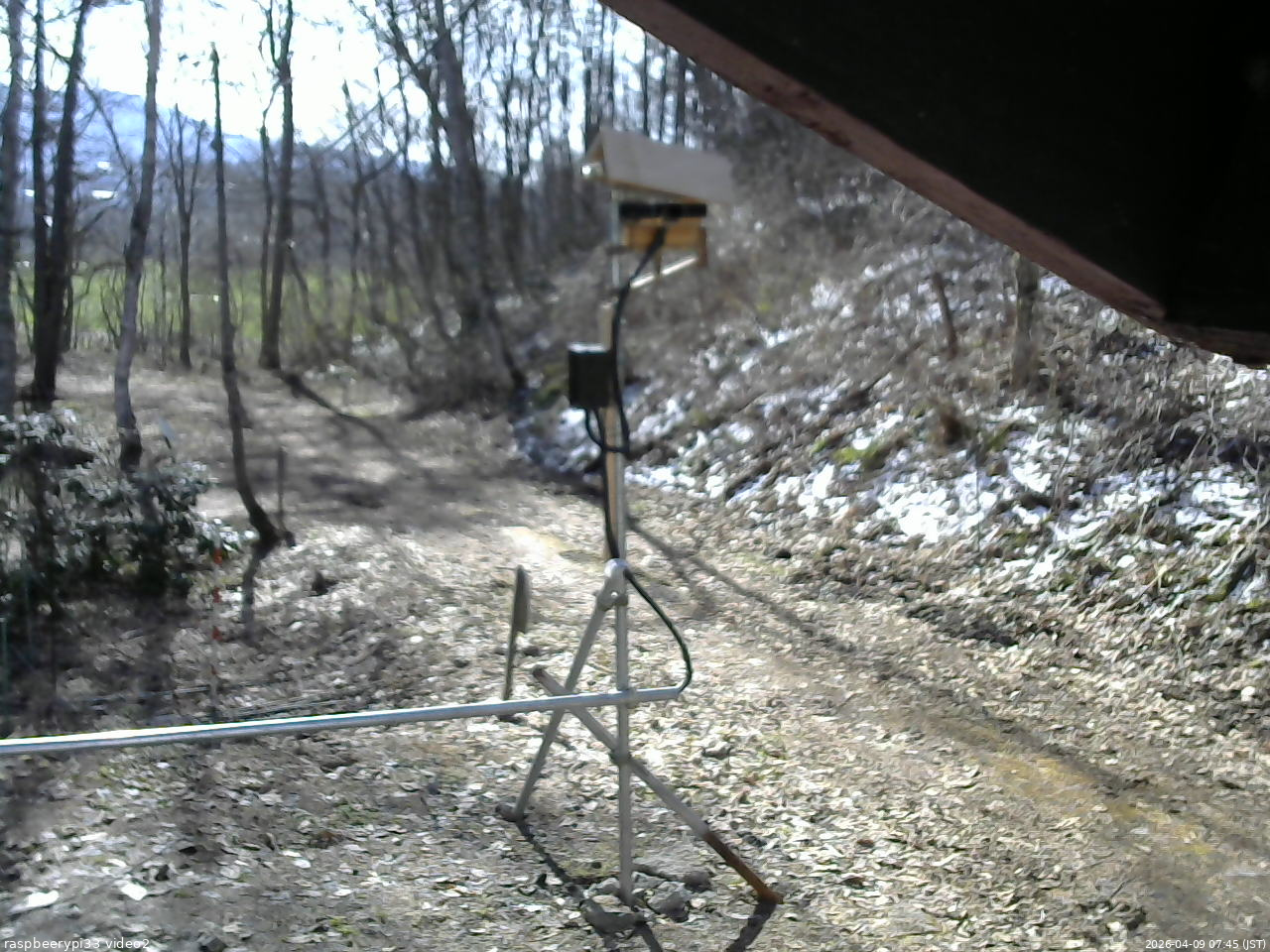 長野県菅平高原 ゆたか山荘 南側 2026/04/09 07:45