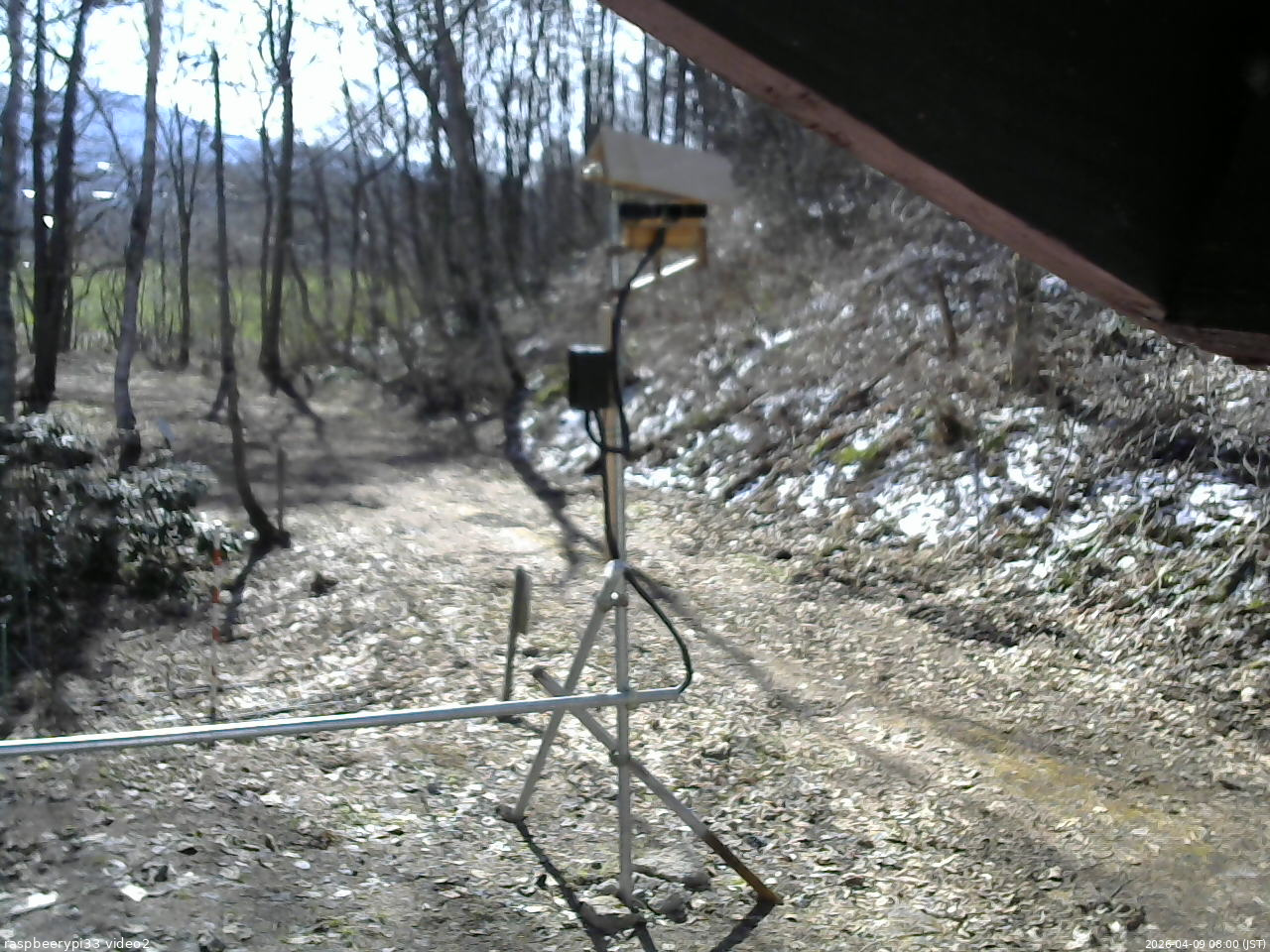 長野県菅平高原 ゆたか山荘 南側 2026/04/09 08:00
