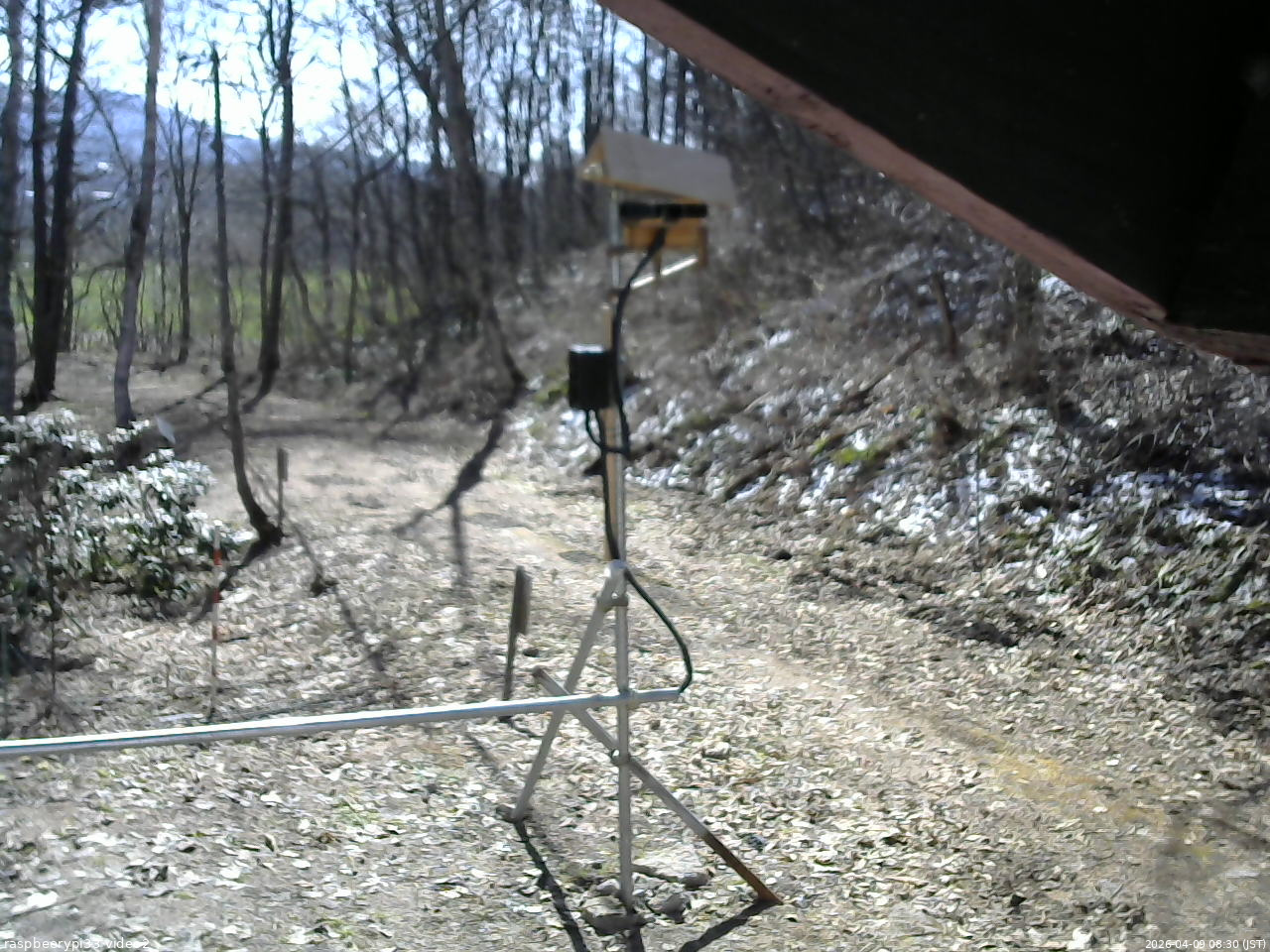 長野県菅平高原 ゆたか山荘 南側 2026/04/09 08:30