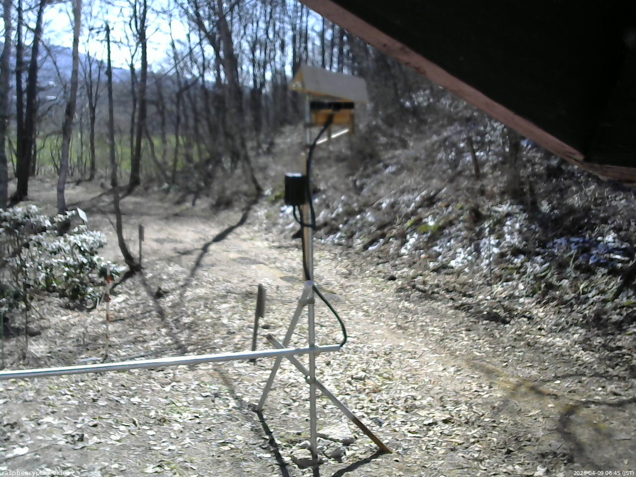 長野県菅平高原 ゆたか山荘 南側 2026/04/09 08:45