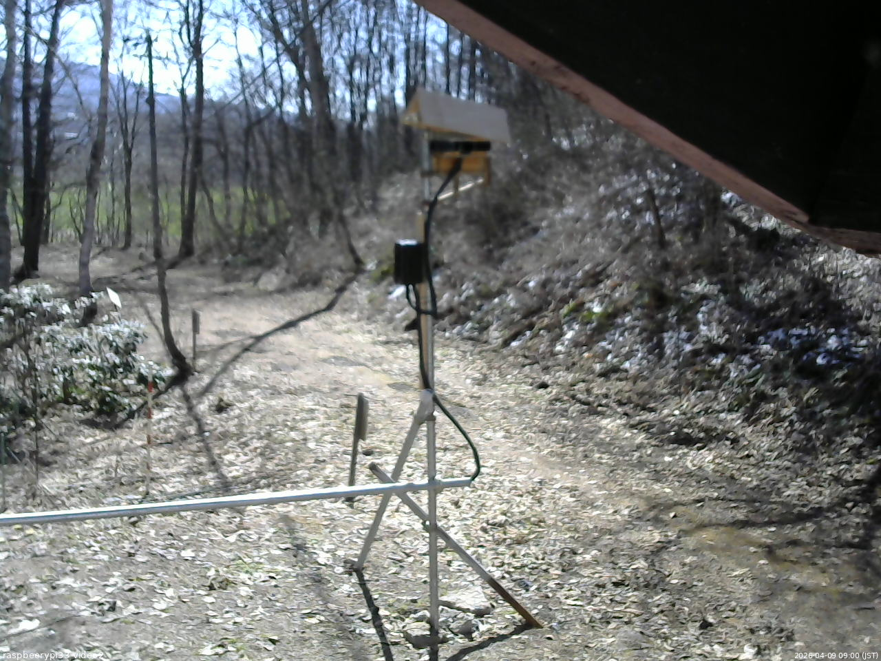 長野県菅平高原 ゆたか山荘 南側 2026/04/09 09:00