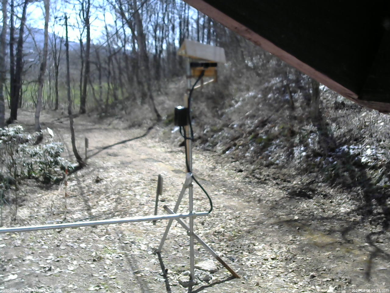長野県菅平高原 ゆたか山荘 南側 2026/04/09 09:15