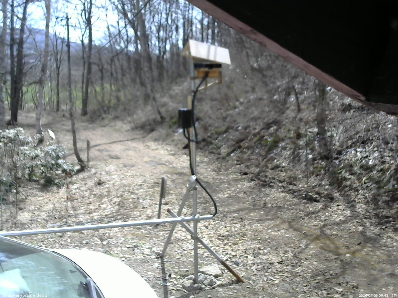 長野県菅平高原 ゆたか山荘 南側 2026/04/09 09:45