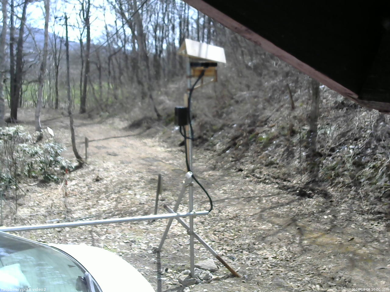 長野県菅平高原 ゆたか山荘 南側 2026/04/09 10:00