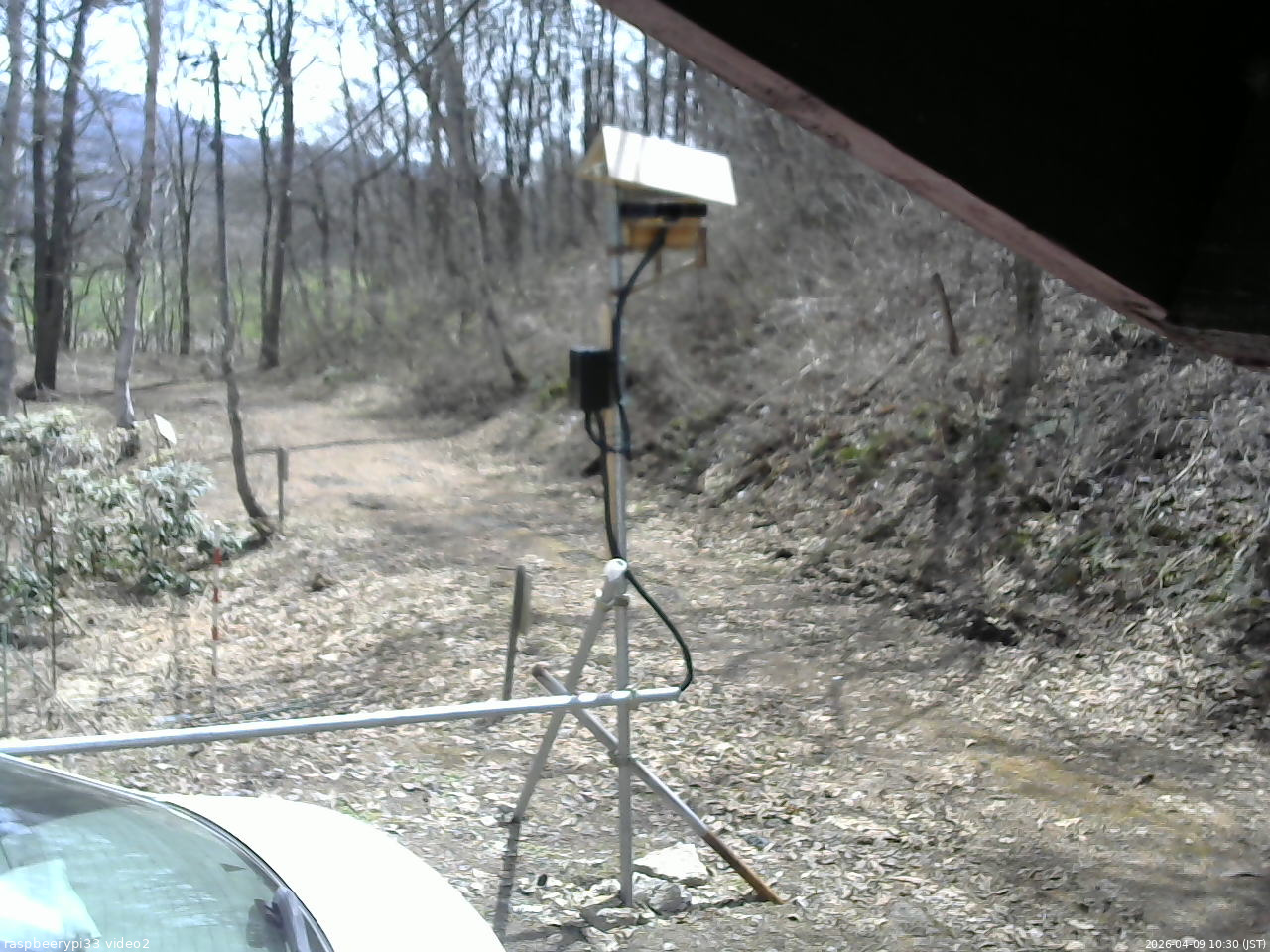 長野県菅平高原 ゆたか山荘 南側 2026/04/09 10:30