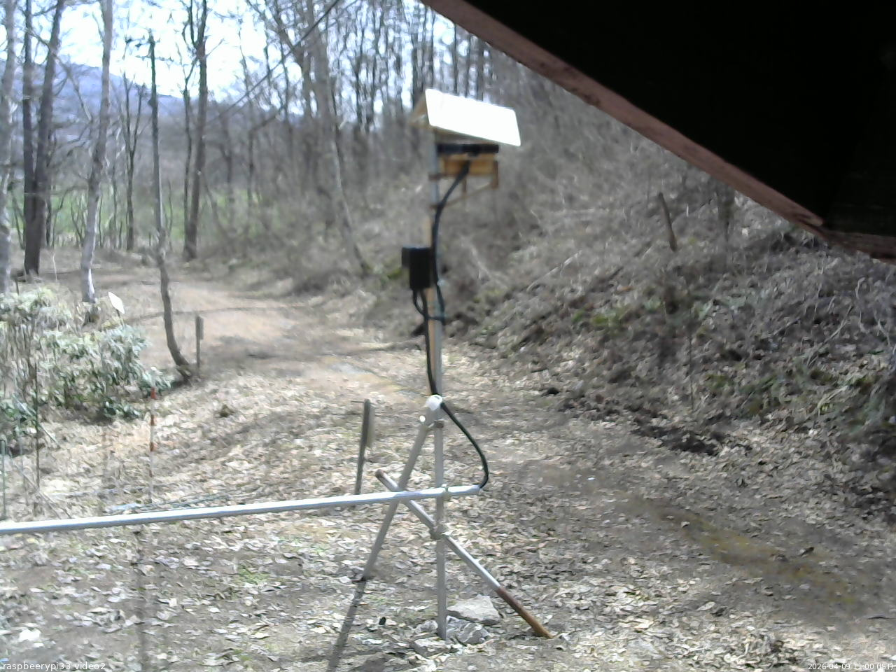 長野県菅平高原 ゆたか山荘 南側 2026/04/09 11:00
