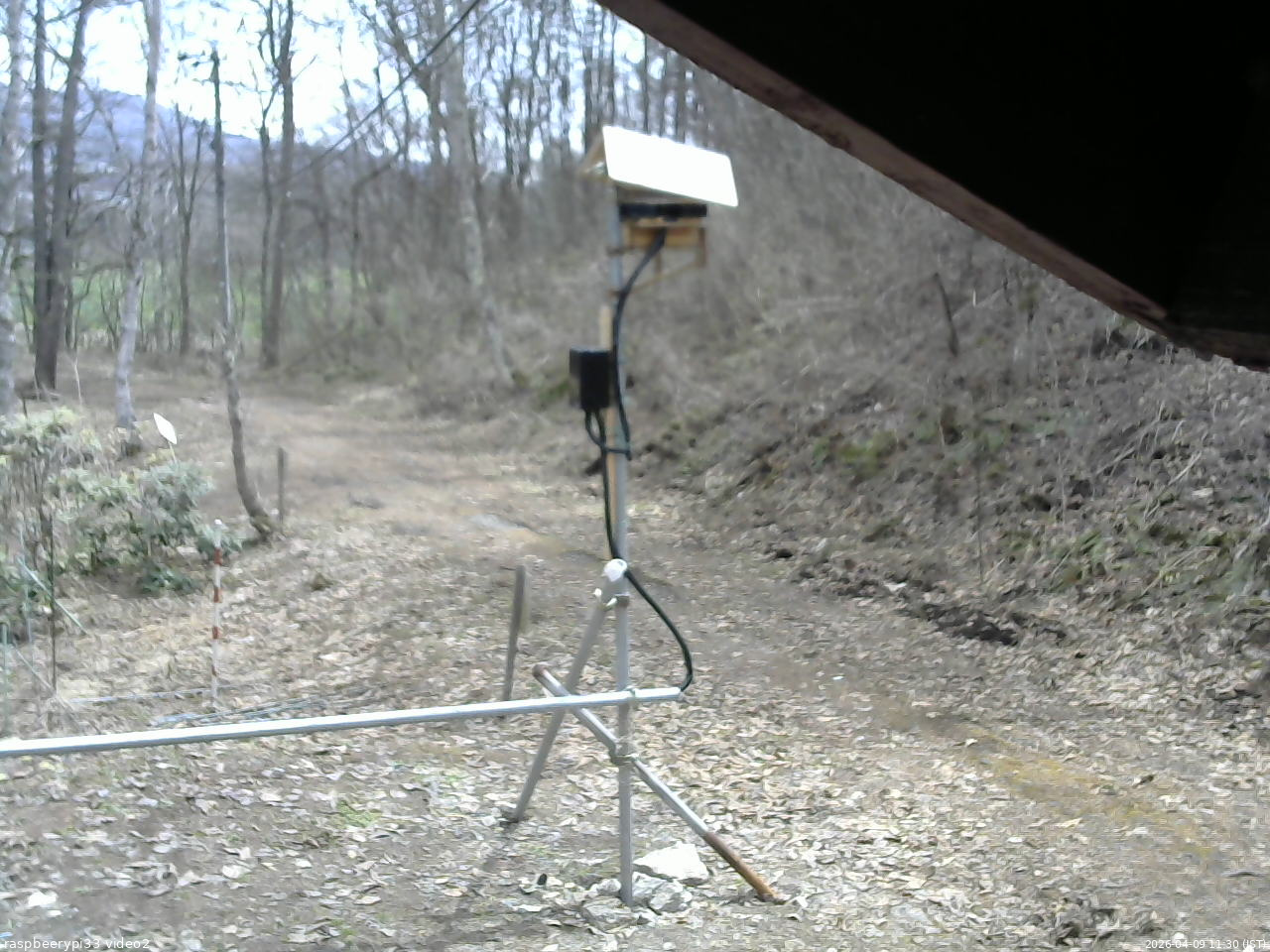 長野県菅平高原 ゆたか山荘 南側 2026/04/09 11:30