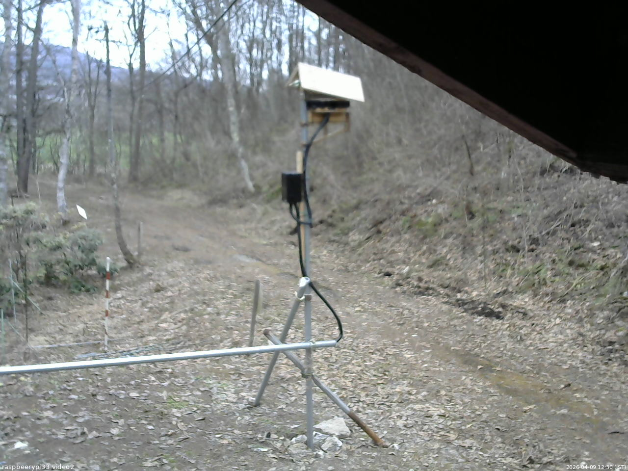 長野県菅平高原 ゆたか山荘 南側 2026/04/09 12:30