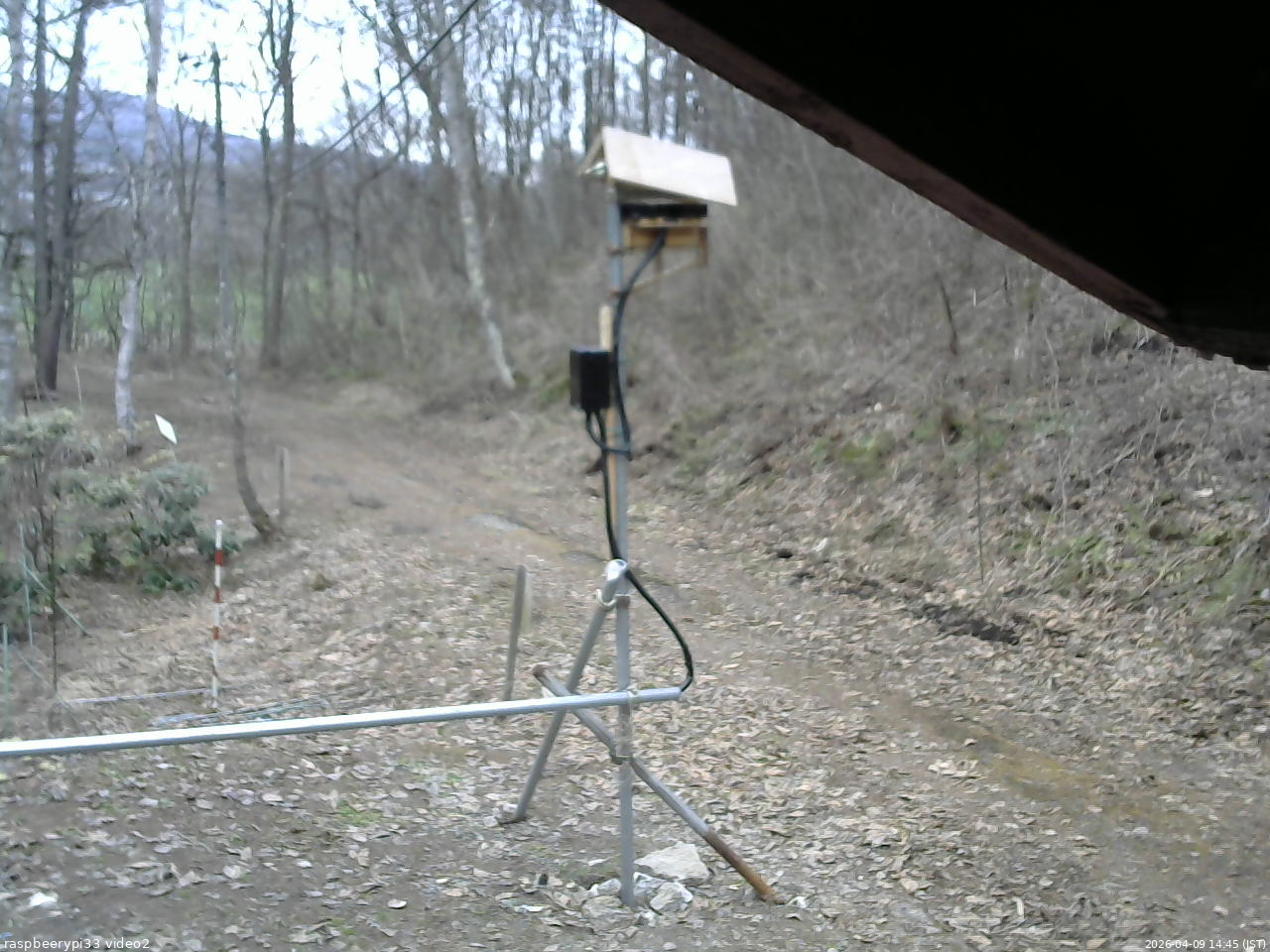 長野県菅平高原 ゆたか山荘 南側 2026/04/09 14:45