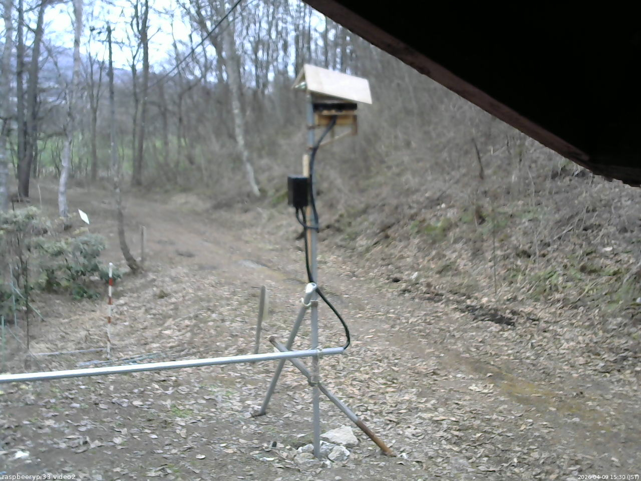 長野県菅平高原 ゆたか山荘 南側 2026/04/09 15:30