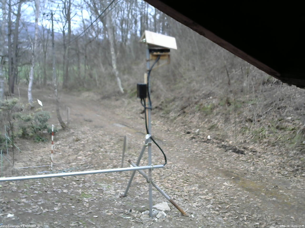 長野県菅平高原 ゆたか山荘 南側 2026/04/09 16:00