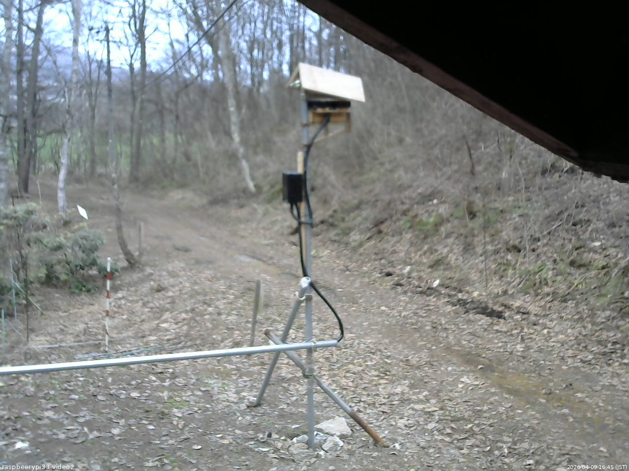 長野県菅平高原 ゆたか山荘 南側 2026/04/09 16:45