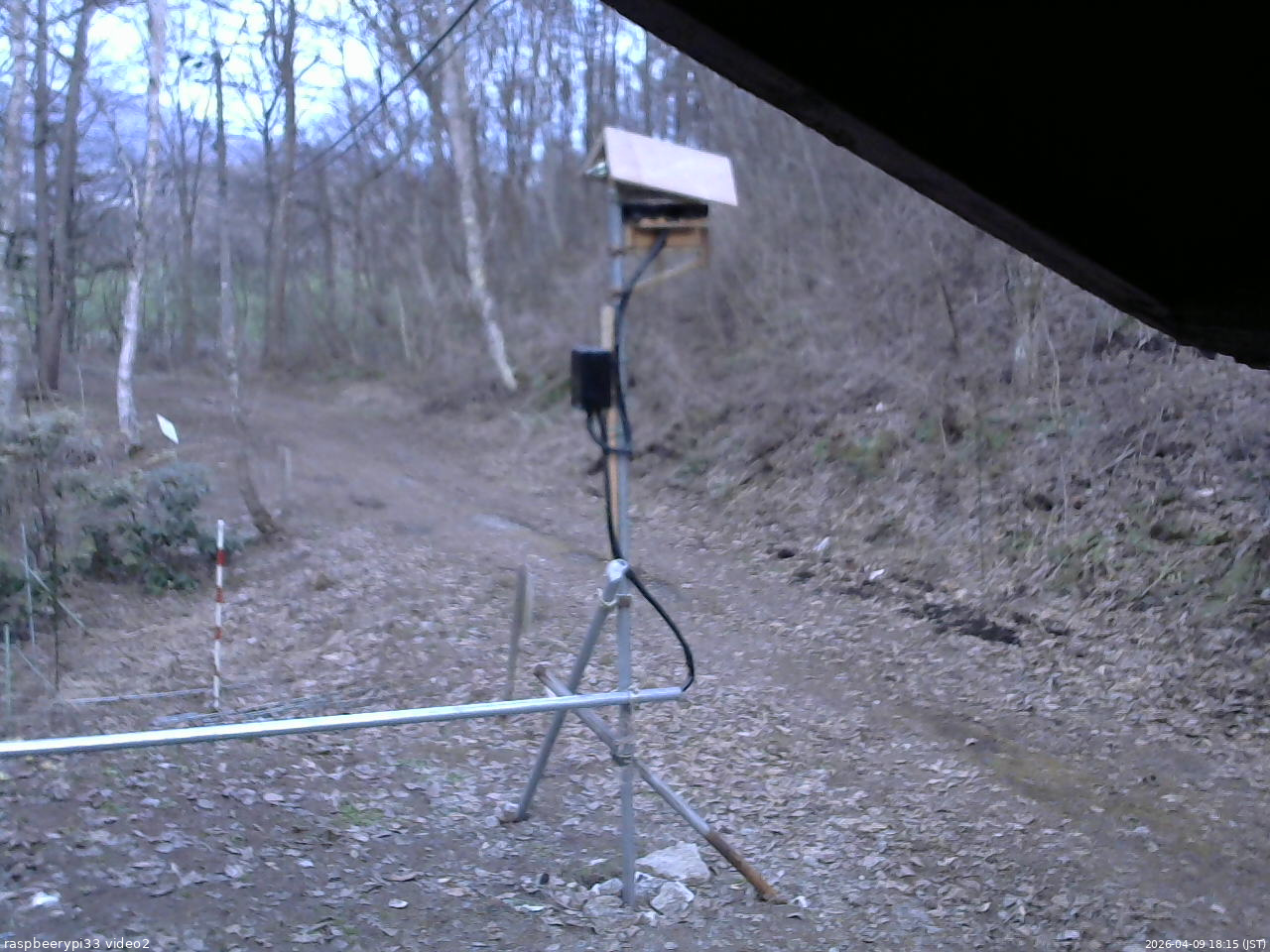 長野県菅平高原 ゆたか山荘 南側 2026/04/09 18:15