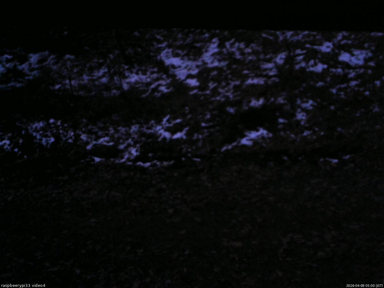 長野県菅平高原 ゆたか山荘 東側(坂下) 2026/04/09 05:00