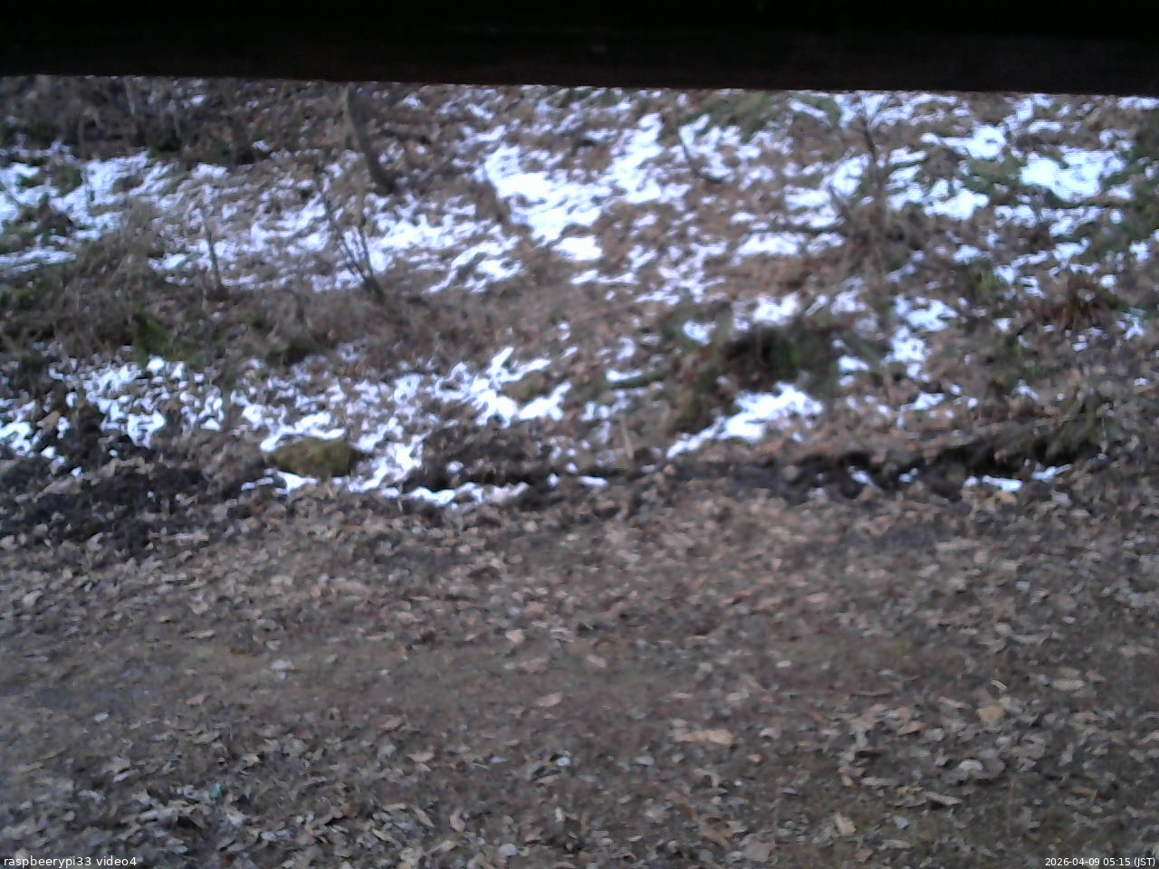 長野県菅平高原 ゆたか山荘 東側(坂下) 2026/04/09 05:15