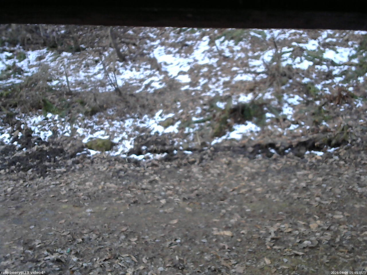 長野県菅平高原 ゆたか山荘 東側(坂下) 2026/04/09 05:45