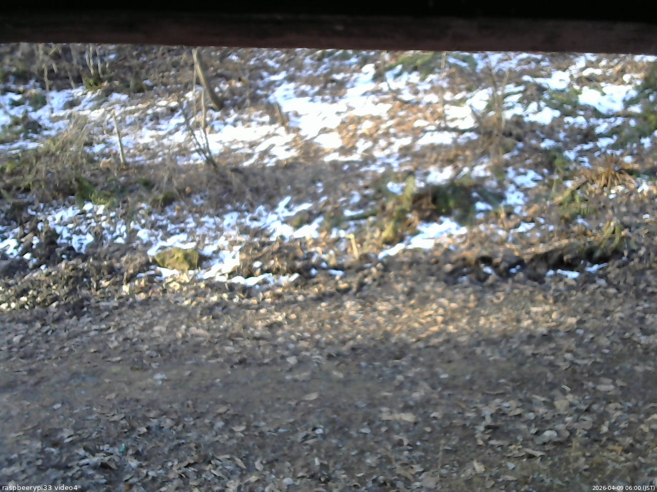 長野県菅平高原 ゆたか山荘 東側(坂下) 2026/04/09 06:00